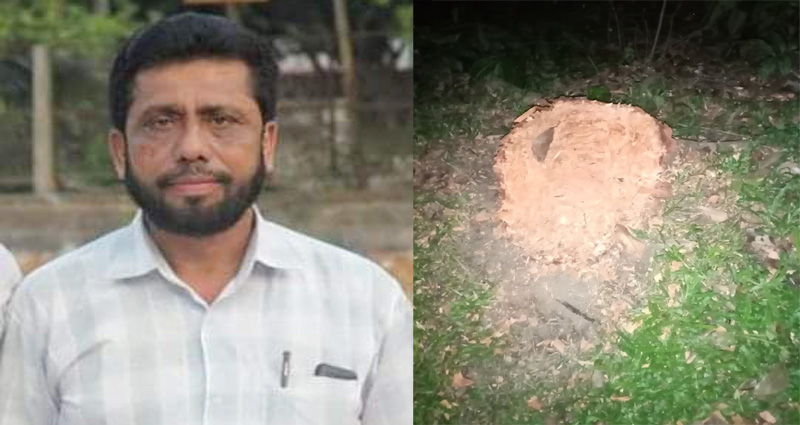 কালীগঞ্জে ‘সরকারি গাছ’ চুরির অভিযোগে জলিল মাস্টারের বিরুদ্ধে মামলা 