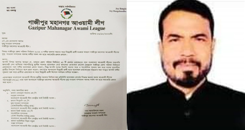 জেলা পরিষদ নির্বাচন: দলীয় প্রার্থীর বিরুদ্ধে নির্বাচনে অংশ নেয়ায় মোকসেদ আলমকে দল থেকে অব্যহতি