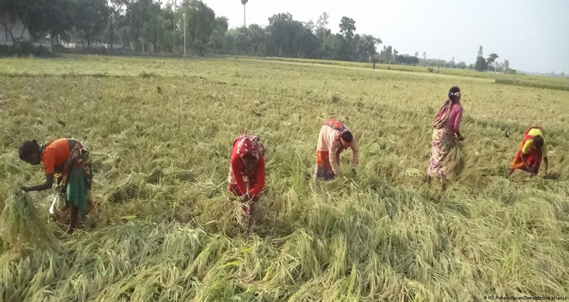 দুর্ভিক্ষের শঙ্কা ও মোকাবেলার প্রস্তুতি