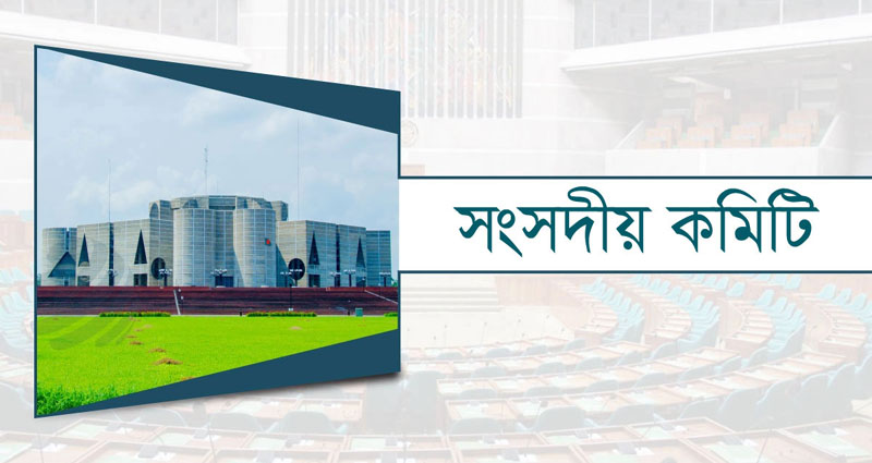 সংসদীয় কমিটি গঠনে বিধি উপেক্ষিত!