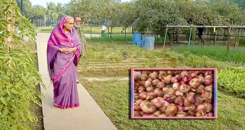 প্রধানমন্ত্রীর সার্বিক তত্ত্বাবধানে গণভবন যেন ‘খামারবাড়ি’