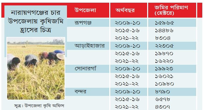 নারায়ণগঞ্জে আবাসন কোম্পানির থাবা: এক যুগে কৃষি জমি কমে অর্ধেক!