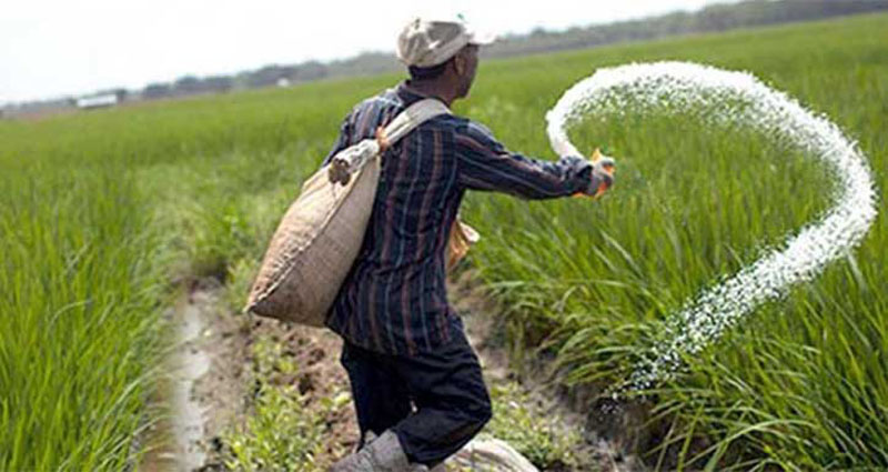 এবার কেজিতে ৫ টাকা বাড়ল সারের দাম