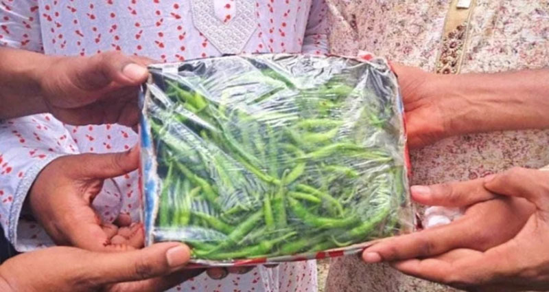 আইনজীবীর বিয়ের অনুষ্ঠানে কাঁচা মরিচ উপহার