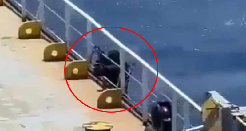 ভারত মহাসাগরে জলদস্যুর কবলে বাংলাদেশি জাহাজ ‘আবদুল্লাহ’, ২৩ নাবিক জিম্মি