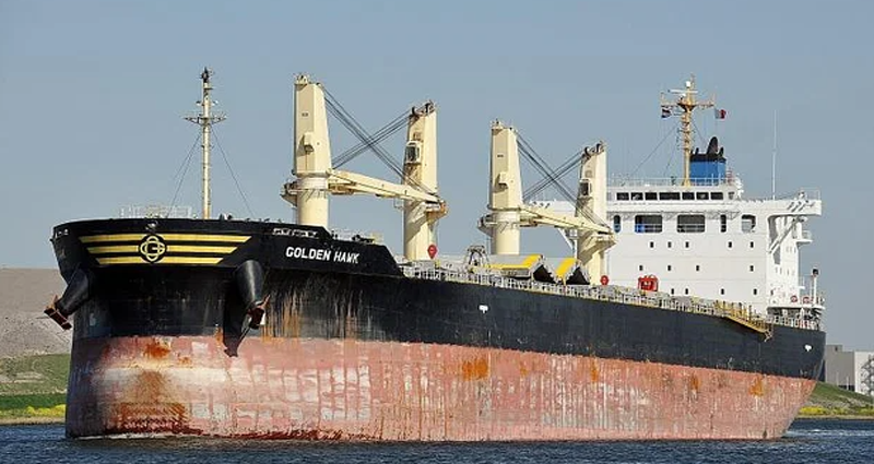 জলদস্যুদের হাতে জিম্মি বাংলাদেশি জাহাজ: পাঁচ মিলিয়নডলার মুক্তিপণ দাবি, চলছে দর কষাকষি