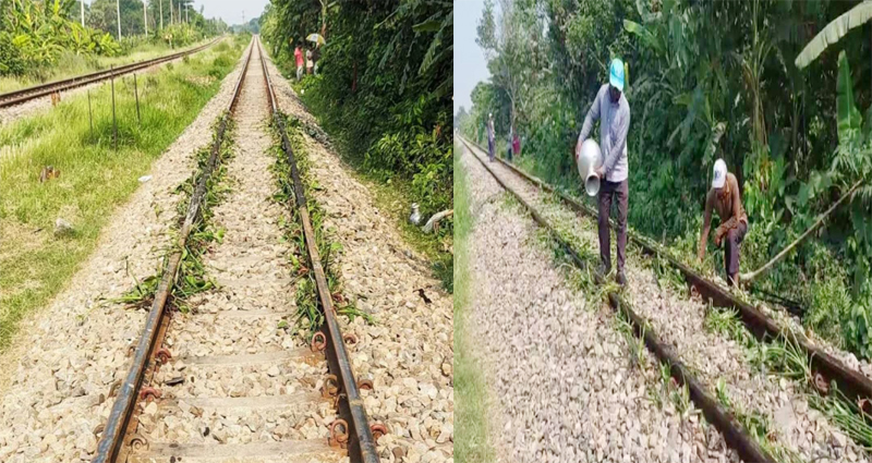 অতিরিক্ত তাপদাহে কালীগঞ্জে রেল লাইনে বাঁক, কচুরিপানা দিয়ে মেরামত
