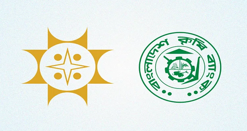 ভরদুুপুরে দুই ব্যাংকে ডাকাতি