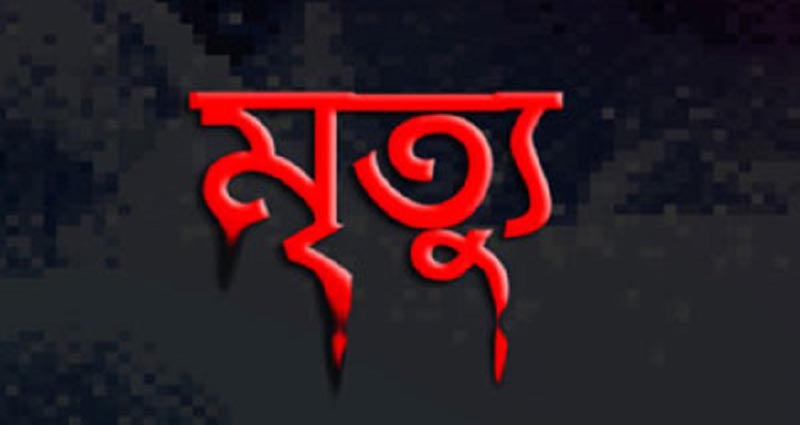 গাজীপুরে ‘বিষক্রিয়ায়’ দুই শিশুর মৃত্যু