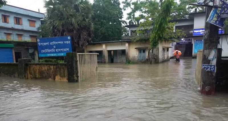 সুনামগঞ্জে বন্যা পরিস্থিতির অবনতি : বাড়িঘর ছেড়ে আশ্রয়ের খোঁজে দিশেহারা মানুষ