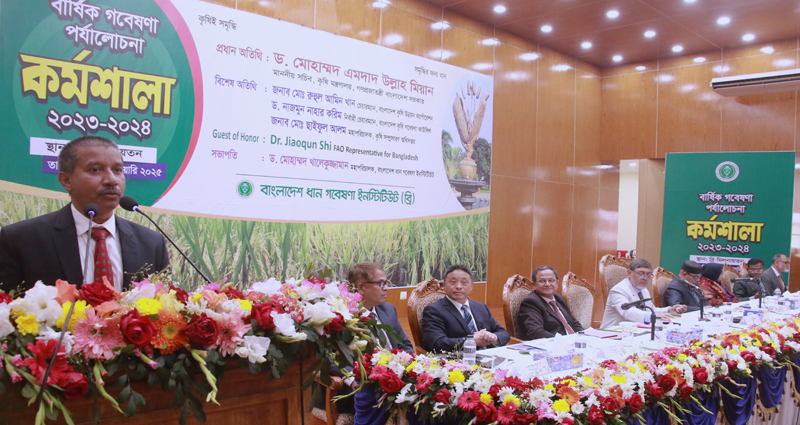 ব্রি’র ধান গবেষণায় মাইলফলক: ১১৫টি জাত উদ্ভাবন, ৮০% জমিতে ব্রি ধানের আধিপত্য