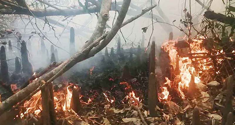 দাউদাউ করে জ্বলছে সুন্দরবন