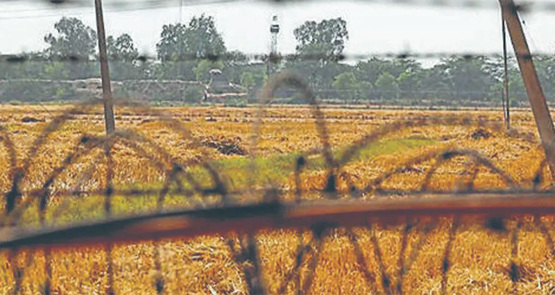 ৪৮ ঘণ্টার মধ্যে পাকিস্তান সীমান্তবর্তী জমির ফসল কাটার নির্দেশ