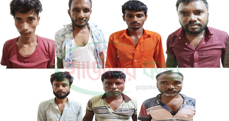 কালীগঞ্জে সংঘবদ্ধ গরু চোর চক্রের ৭ সদস্য গ্রেপ্তার, চোরাই গরু উদ্ধার