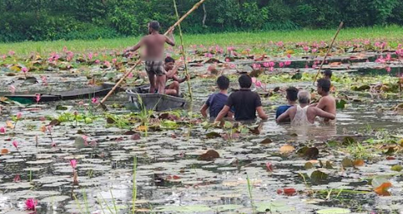 কাপাসিয়ায় শাপলা বিলে নৌকা থেকে পড়ে দু’জনের মৃত্যু