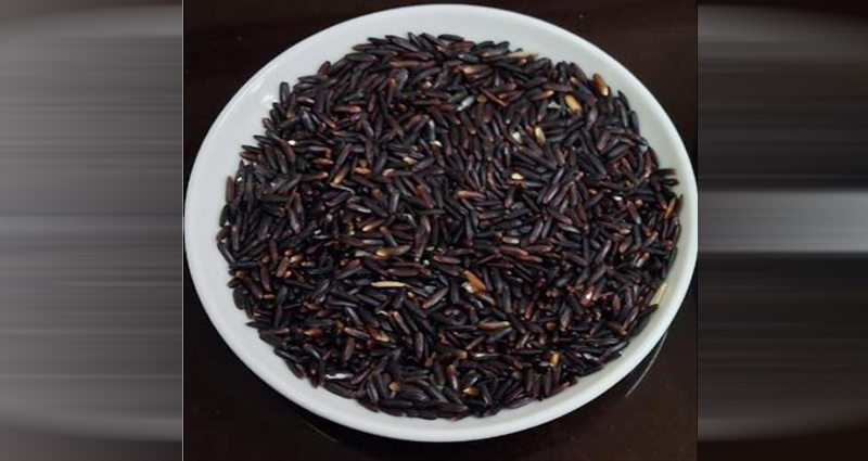 শীঘ্রই আসছে ভিটামিন-ই সমৃদ্ধ ব্রি ধান-১১৫