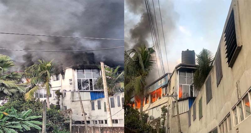 পূবাইলে প্যাকেজিং কারখানায় ভয়াবহ অগ্নিকাণ্ড