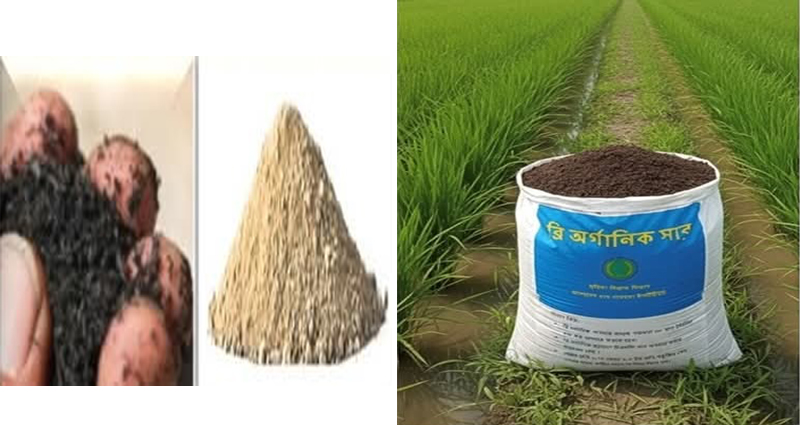 শিগগিরই বাজারে আসছে ‘ব্রি অর্গানিক সার’
