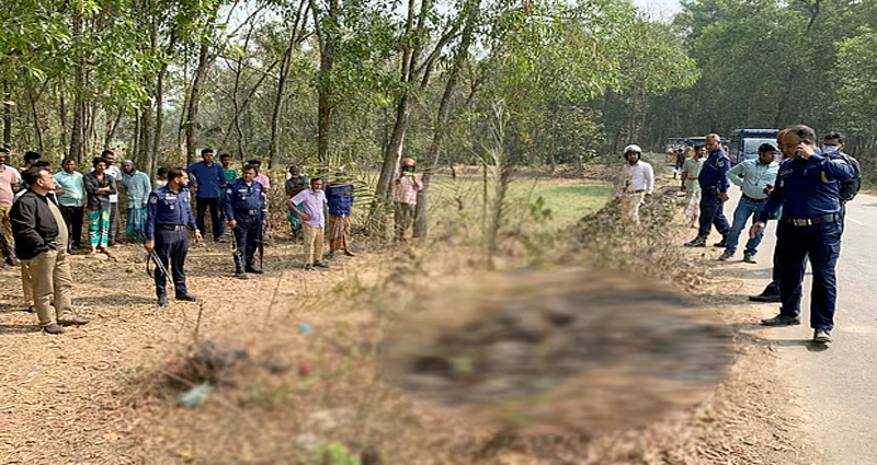 গাজীপুরে আগুনে পোড়া দুই মরদেহ উদ্ধার
