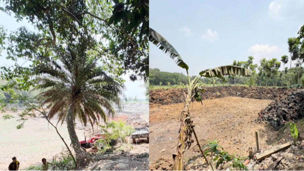 কালীগঞ্জে কৃষিজমির মাটি কেটে পুকুর তৈরি, ২ লাখ টাকা জরিমানা