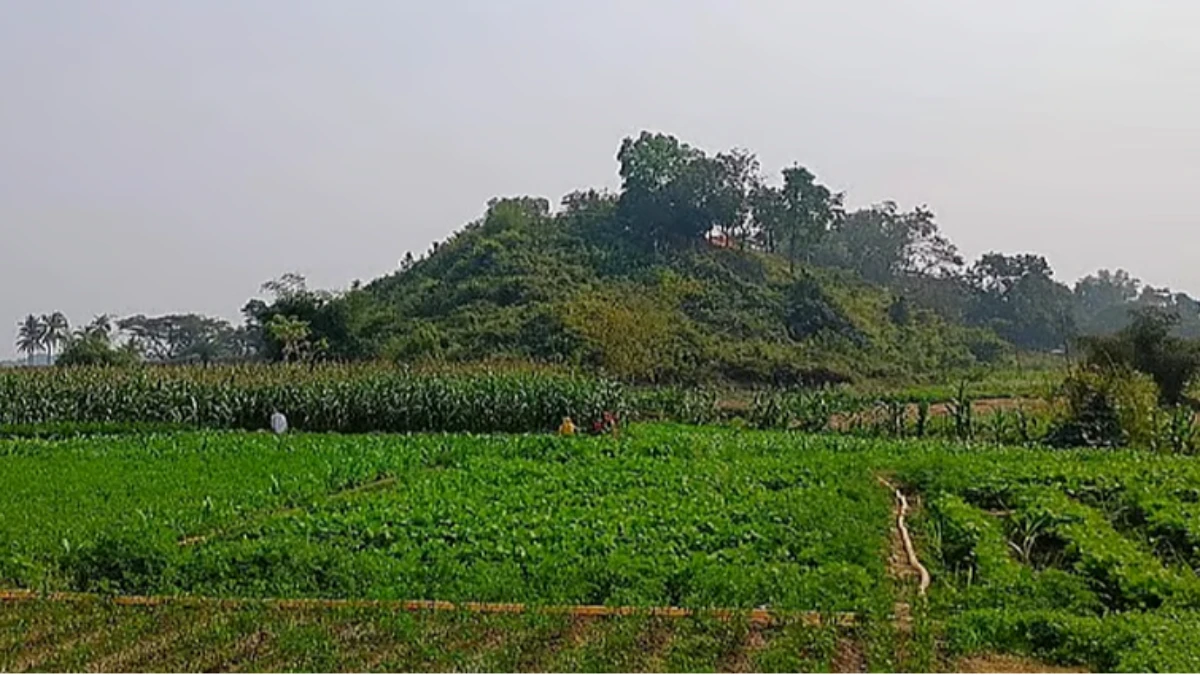 নাইক্ষ্যংছড়ির ঘুমধুম সীমান্তে মাইন বিস্ফোরণে তিন বাংলাদেশি নিহত