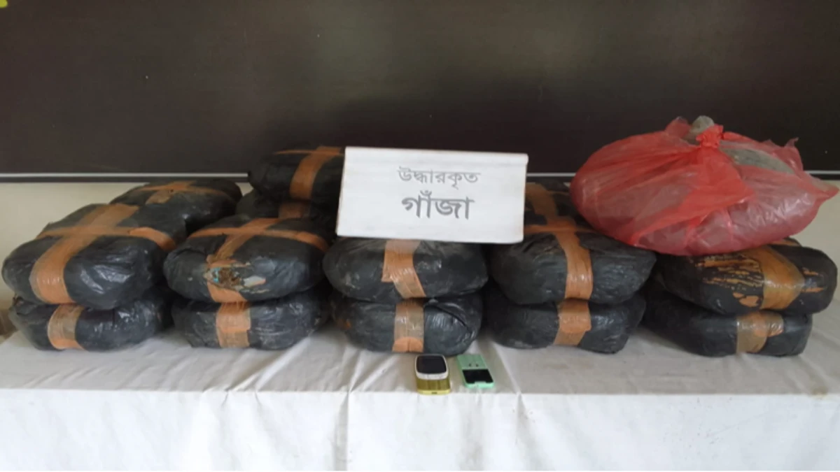 শ্রীপুর থেকে ৪৬ কেজি গাঁজাসহ দুই মাদক ব্যবসায়ী গ্রেপ্তার