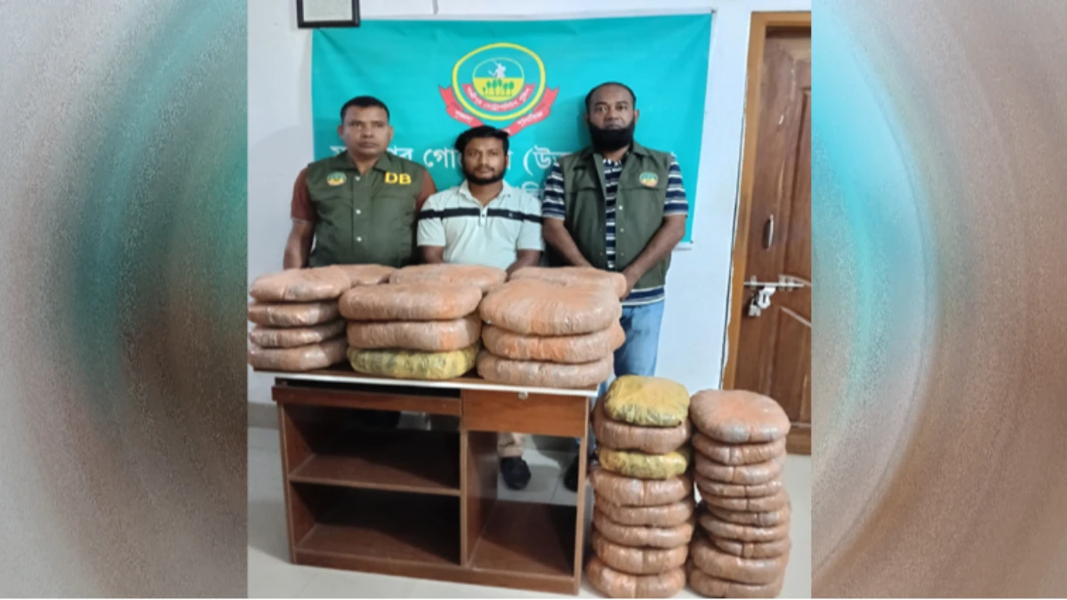গাজীপুরে ৬০ কেজি গাঁজাসহ যুবক গ্রেপ্তার