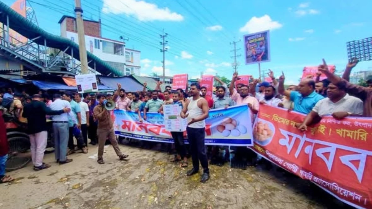 শ্রীপুরে ডিমের ন্যায্যমূল্যের দাবিতে সড়কে ডিম ভেঙে খামারিদের বিক্ষোভ