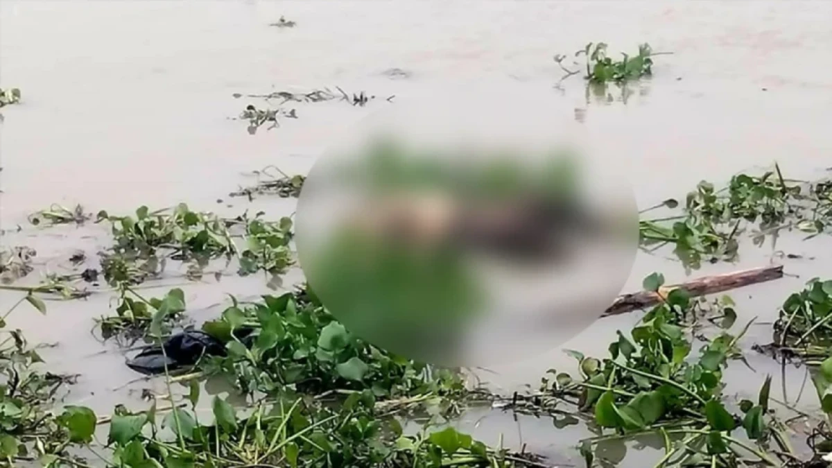 কাপাসিয়ায় নদীতে মিলল নিখোঁজ শিশুর মরদেহ