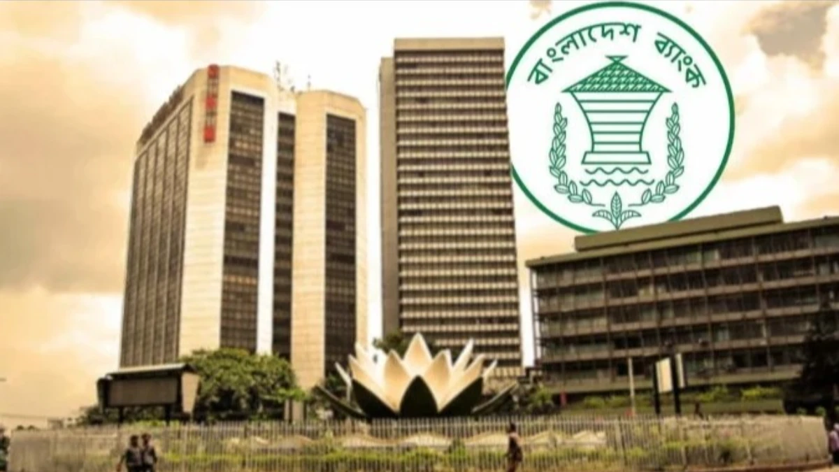 বিদেশে ভ্রমণে বছরে ১৮ হাজার ডলার পর্যন্ত সঙ্গে নিতে পারবেন বাংলাদেশিরা
